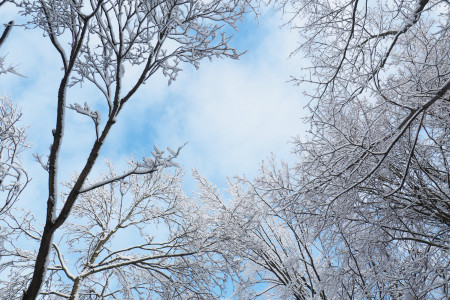 Winterland