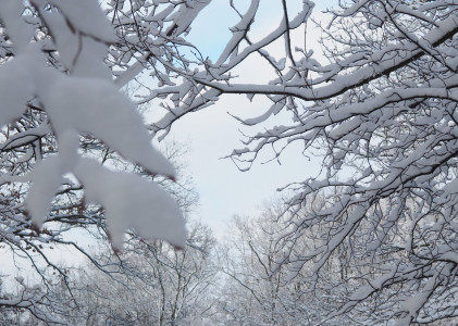 Winterland